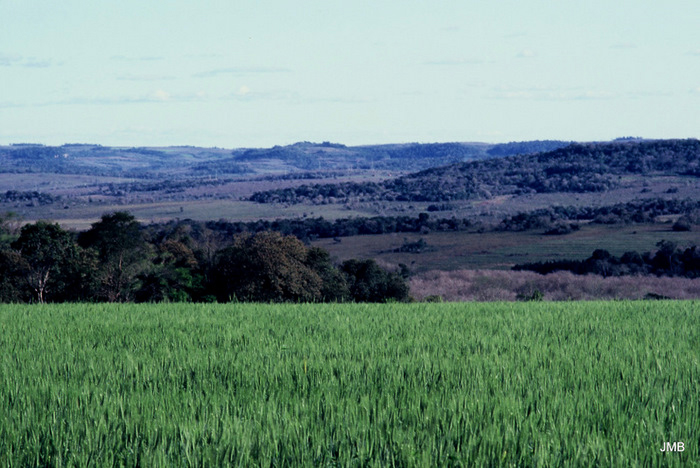 AÑO 1984 - COLOR - VIDA CAMPESINA EN PARAGUAY (JOSÉ MARÍA BLANCH)